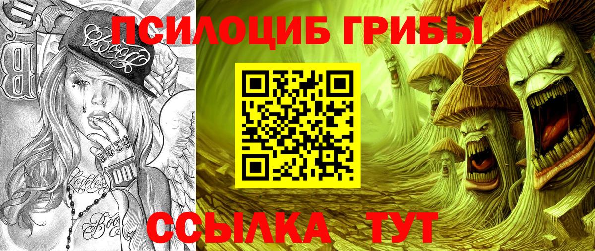 Щёлково  Псилоцибиновые грибы мухоморы  Псилоцибиновые грибы MAGIC MUSHROOMS  Вход с VPN 